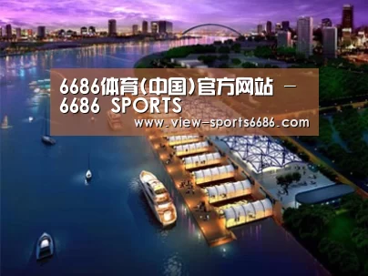 案例展示八